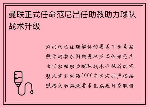 曼联正式任命范尼出任助教助力球队战术升级 曼联正式任命范尼出任助教助力球队战术升级